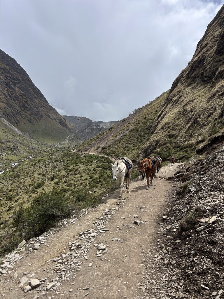 Una parte del Salkantay Trek